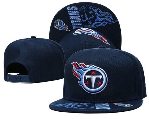 Titans Adjustable Hat