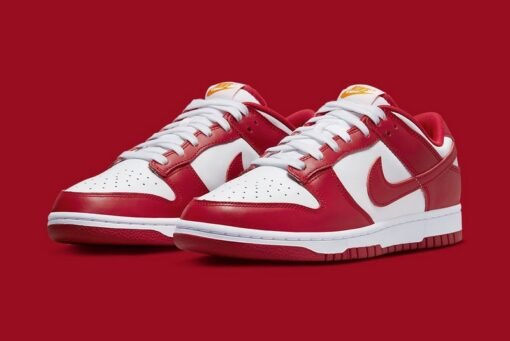 Arkansas Razorbacks Dunk Low Sneakers