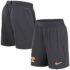 Tennessee Volunteers 2024 Sideline Performance Shorts - S