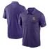Vikings 2024 Sideline Victory Performance Polo Purple - S, Purple
